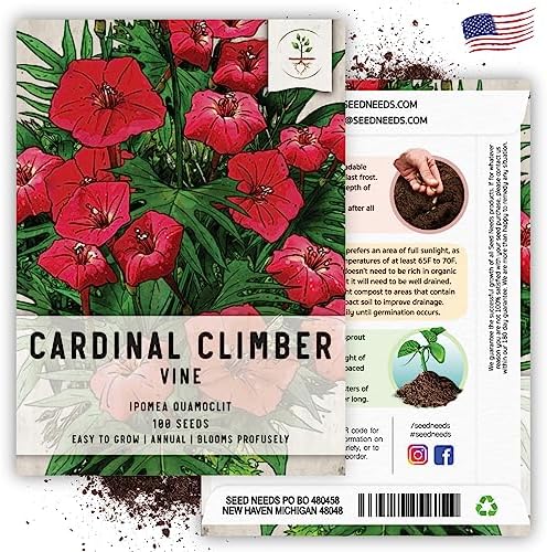 Seed Needs Cardinal Climber Seeds to Plant Red Flowering Vines 2 Packs - Image 6
