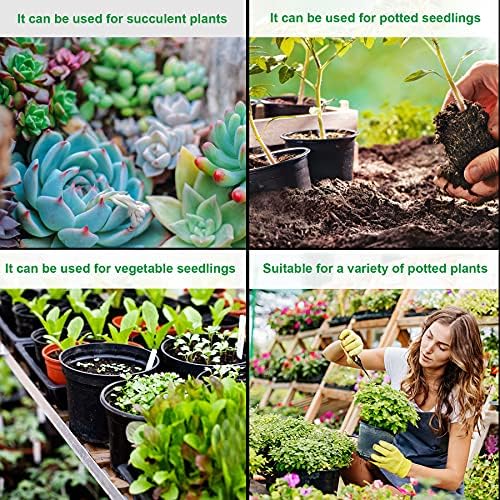 Augshy 40 Pcs 4" Black Plastic Plant Nursery Seed Starting Pots for Succulent Seedling Cutting Transplanting - Image 6
