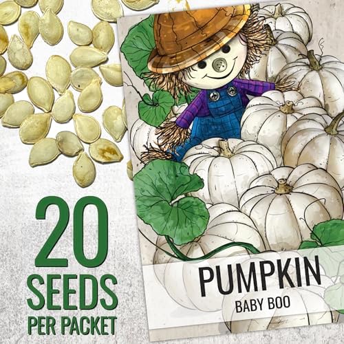 Seed Needs Pumpkin Seeds Variety Pack of 2 Non-GMO & Heirloom Mini Fruits - Image 3