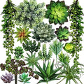 Winlyn 19 Pcs Assorted Artificial Succulents Plants Unpotted Small Green Hanging Succulent Aloe Fake Cacti Succulents Bulk for Succulent Garden Centerpiece Wreath Arrangement Indoor Outdoor Home Decor by Winlyn