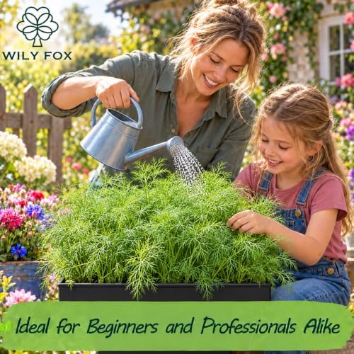 Dill Seeds for Planting, Anethum graveolens, Heirloom Non-GMO Dill Weed Herb Seeds, High Germination Aromatic Annual Culinary Herb for Garden Beds Containers Pickling and Kitchen Gardens, 1500 Count - Image 2
