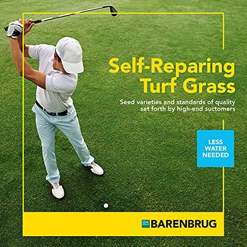 Barenbrug Turf Star Regenerating Perennial Ryegrass Lawn Seed with Yellow Jacket Seed Coating, Fast-Acting Durable Grass Seed Mix for Lawns, 10-lb. Bag - Image 3
