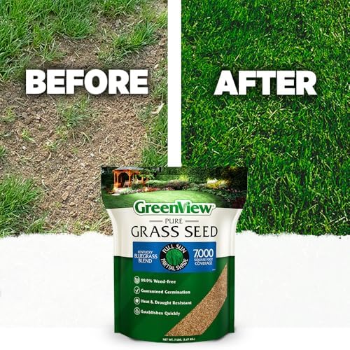 GreenView Pure Grass Seed Kentucky Bluegrass Blend, 20 lb. Bag - Image 4