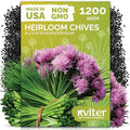 1,200 Chive Heirloom Herb Seeds for Planting, Allium Schoenoprasum by KVITER