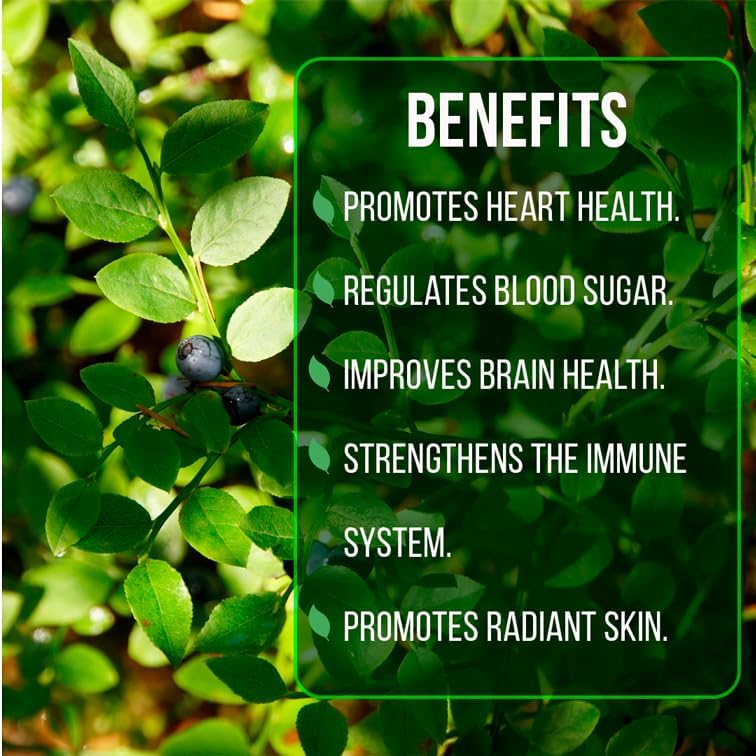 Live Emerald Blueberry Plants (4 Pack) – Southern Highbush Blueberry Bushes for Planting, High Yield, Mildly Sweet Flavor, Suitable for Mild Winter Regions - Image 6