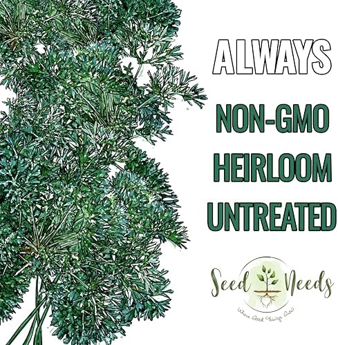 Seed Needs Wormwood Seeds to Plant an Herb Garden - 1 Pack - Image 5