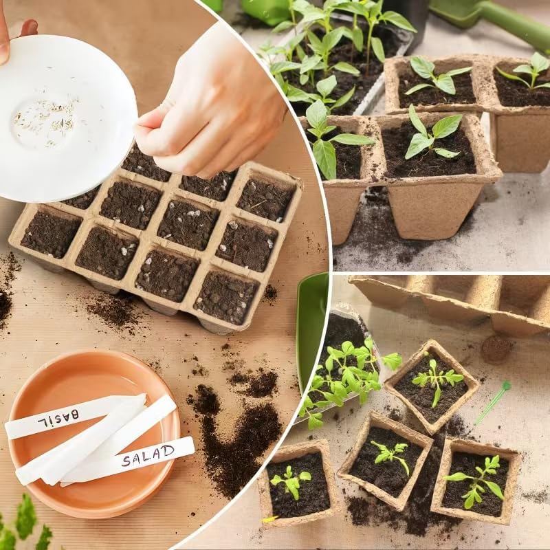 240 Cells Seed Thickened 12-Cell Peat Pots Seed Starter Kit - 20 Trays + Transplanting Tools & Plant Labels, Root-Friendly Seedling Cups for Vegetables Flowers Herbs Seed Starting - Image 5