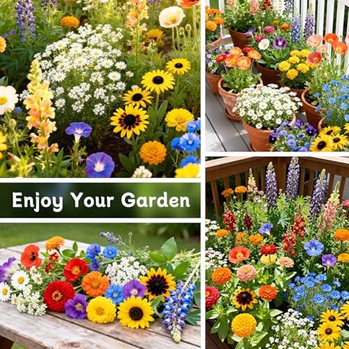 LUOJIBIE Wildflower Seeds Bulk, 10,000+ Flowers Seeds for Planting Outdoor, 16 Varieties Annual & Perennial Flowers Seeds Mix Color for Garden, 2 Oz Packet, Non-GMO, Attracts Pollinators, Easy to Grow - Image 7