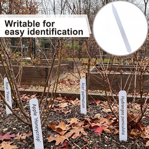 Weysat 100 Pcs 12" Wood Plant Labels for Field or Containers Plant Tags Wood Garden Labels for Seedling Stakes Markers Nursery Seed Tags with Smooth Surface for Pot Herbs Flowers Vegetables - Image 4