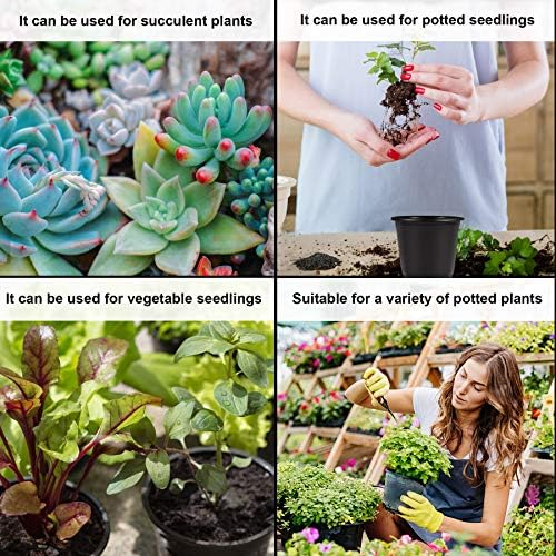 Augshy 110 Pcs 0.5 Gallon Black Plastic Plant Nursery Pots 6 Inches Seed Starting Pots Containers with 110 Labels - Image 6