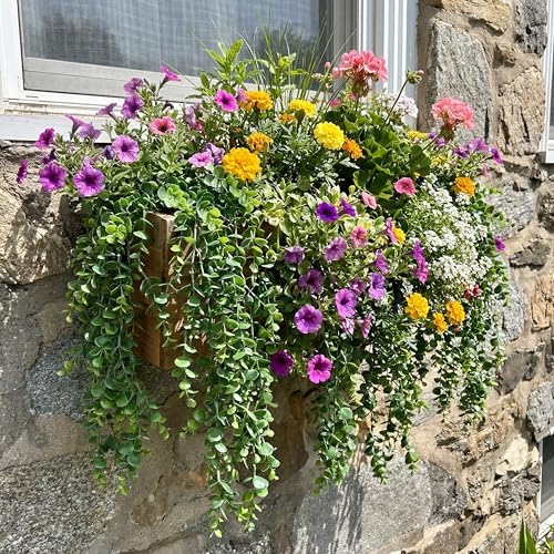 6 Pack Artificial Eucalyptus Hanging Plants 21.65 in Trailing Vine - Image 2