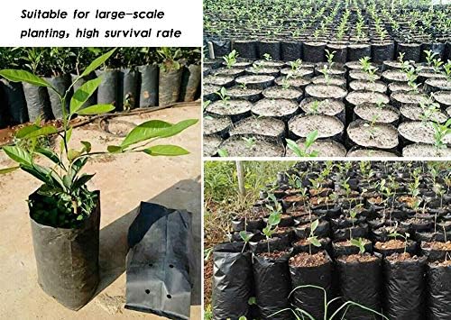 100 PCS Nursery Bags for Plants Fruit Flower, 7.87x15.75 in - Image 5