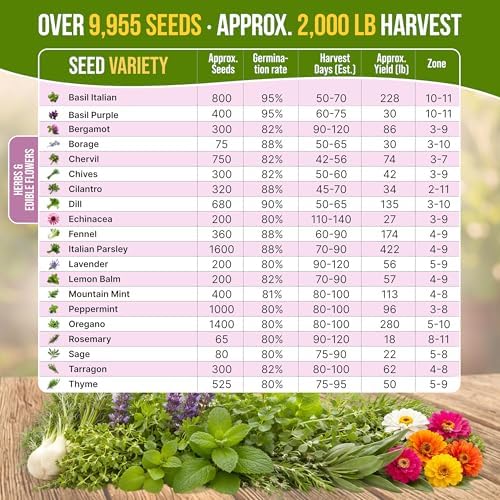 20 Culinary Herbs & Edible Flower Seed Variety Pack for Planting Indoor & Outdoors. 9500+ Non-GMO Heirloom Flower Seeds: Basil, Borage, Echinacea, Lavender, Oregano, Rosemary Seeds & More - Image 4