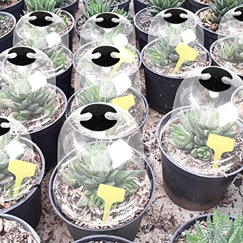 20 Pack Garden Cloches for Plants Clear Bell Covers 7.3x6.7 Inch - Image 6