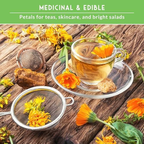 Calendula Seeds for Planting - 4 Variety Collection - Survival Garden Seeds - Image 5