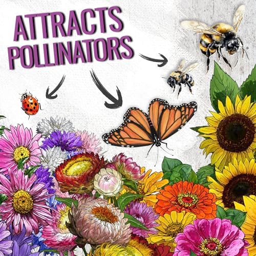 Seed Needs Wildflower Seeds Large Blooms Mix 5 Bulk Packs (1 Ounce Each) - Image 4