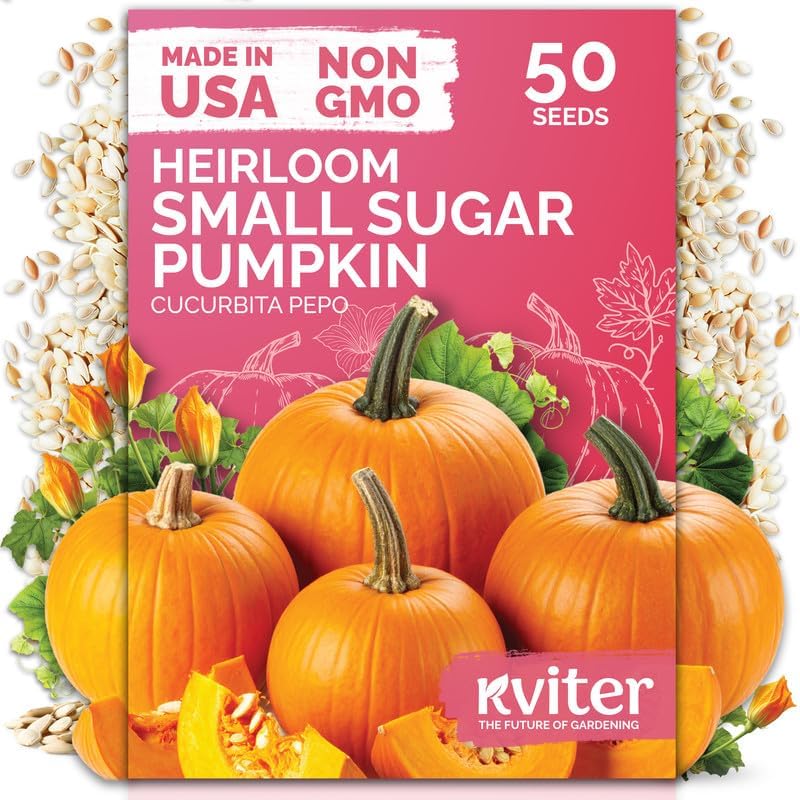 50 Sugar Pumpkin Heirloom Vegetable Seeds for Planting, Cucurbita Pepo by KVITER