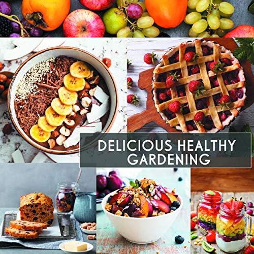 1300+ Seeds Variety Pack,Juicy Summer Fruits Tomatoes, Melons, Berries - Image 5