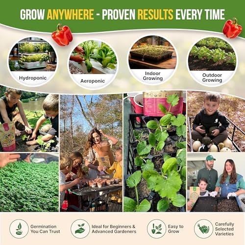 Organo Republic 12 Rare Sweet & Mild Pepper Seeds Variety Pack - 770+ Non-GMO Heirloom Pepper Seeds for Outdoor and Indoor Home Gardening, Including Pepper Anaheim, Pepperonchini, Pimento, Lilac Bell - Image 5