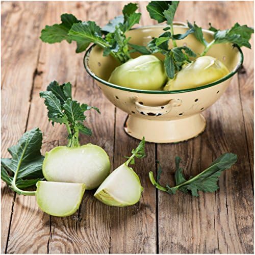 Seed Needs Kohlrabi Seeds Variety Pack of 2 Non-GMO & Heirloom Vegetables - Image 4