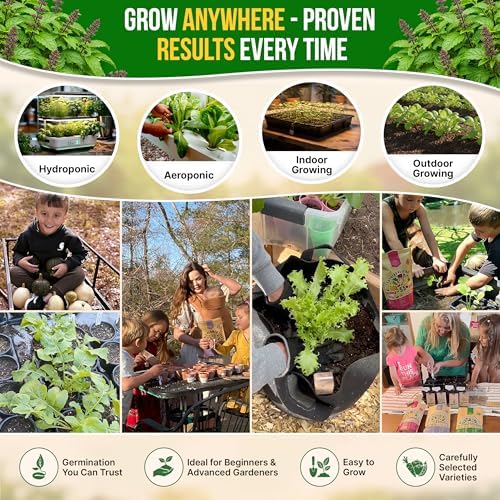 Organo Republic Holy Basil Seeds Pack 0.5 G - Over 1,400 Non-GMO Heirloom Basil Seeds for Planting Herbs in Individual Seed Packet, Herbs Seeds for Planting Home Garden Indoor & Outdoor Gardening - Image 5