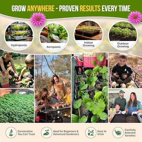 25 Culinary Herbs & Edible Flower Seed Variety Pack for Planting Indoor & Outdoors. 11900+ Non-GMO Heirloom Flower Seeds: Basil, Borage, Echinacea, Lavender, Oregano, Rosemary Seeds & More - Image 5
