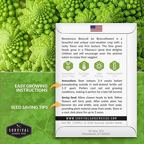 Romanesco Broccoli Seeds for Planting - Survival Garden Seeds (5 Packs) - Image 2
