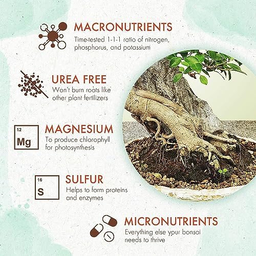 Bonsai Fertilizer - Gentle Slow Release Plant Food Pellets - Ideal for All Indoor and Outdoor Bonsai Tree Plants in Pots (5 oz) (Pack of 2) - Image 5