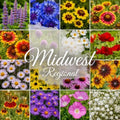Midwestern Wildflower Seed Mix – 16 Annual & Perennial Wildflower Species – Pollinator Friendly Meadow Seed Blend for Naturalized Landscapes - 1/8lb Covers 250sq-ft by PaperStreetPerennials