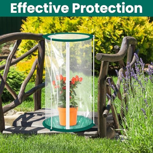 Nuanchu 2 Pieces Mini Greenhouse 19.7 x 10.2 Inch Portable Plant Flowers Mini Cover PVC Clear Greenhouse for Indoor Outdoor Gardening - Image 4
