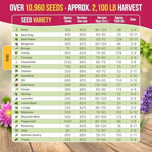 Organo Republic 25 Medicinal & Tea Herb Seeds Variety Pack for Indoor & Outdoors. 10900+ Non-GMO Heirloom Garden Seeds: Anise, Borage, Cilantro, Chamomile, Dandelion, Rosemary, Peppermint Seeds - Image 3