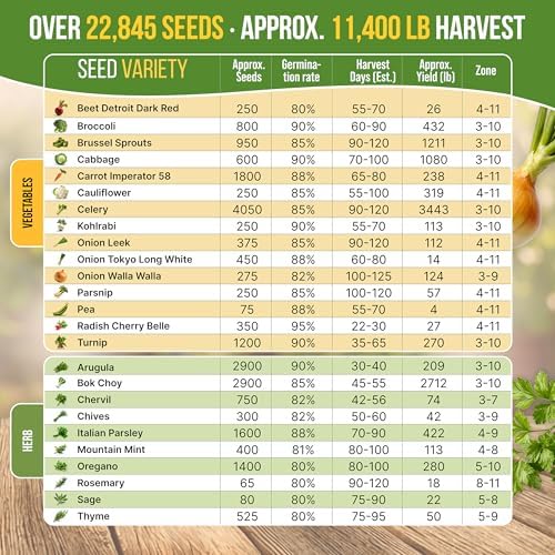 Organo Republic 25 Winter Vegetable & Herb Garden Seeds Variety Pack for Outdoors & Indoor Home Gardening 22,840+ Non-GMO Heirloom Seeds Broccoli Beet Carrot Cabbage Radish Pea Mint Thyme Parsley - Image 3