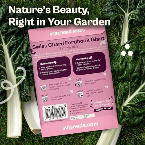 SVI 200 Fordhook Giant Chard Seeds (Beta Vulgaris) - Swiss Chard, White Stem Leafy Greens, Mild Flavor, Heirloom Seed in Seed Packets - Vegetable Seeds for Home Garden, Containers and Outdoor Beds - Image 2
