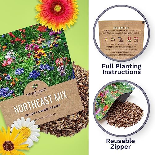 Northeast Wildflower Seeds - Extra Large 1 Ounce Packet - Over 7,500 Native Seeds - Open Pollinated and Non GMO Varieties for New York, Virginia, Pennsylvania, Maine and More! (Pack of 3) - Image 5