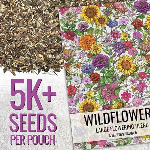 Seed Needs Wildflower Seeds Large Blooms Mix 5 Bulk Packs (1 Ounce Each) - Image 2