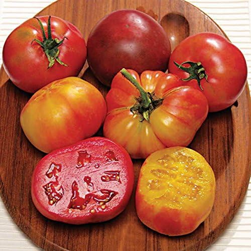Park Seed Variety of Tomato Seeds, Planting Vegetables, Easy to Grow, Non-GMO, Perfect for Harvesting, Rainbow Blend Heirloom, Pack of 30 by ParkSeed