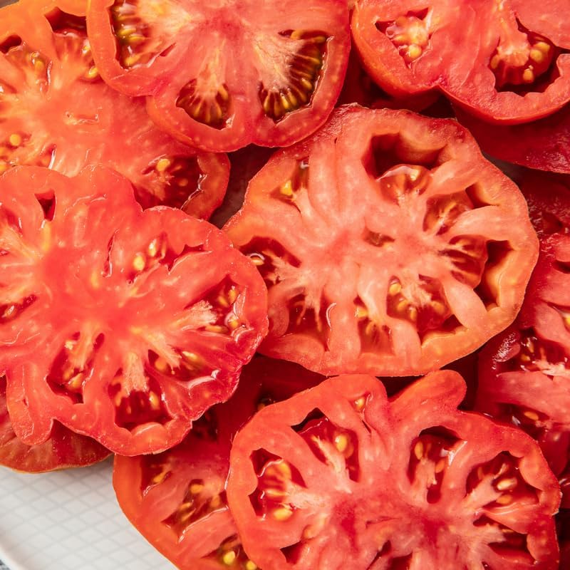 Beefsteak Tomato Plants Live in 4" Pot, 4-6 Inch Tall Starter Plants - Image 3