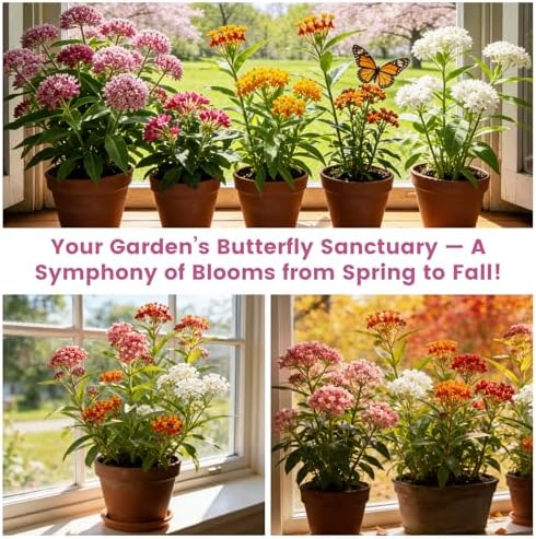 Milkweed Seeds Mix for Monarch Butterflies - Fruivity 5 Varieties Mixed Perennial Wildflower Milkweed Seeds Butterfly, Common, Showy, Pink Swamp & White Swamp - Flower Seeds for Garden - Image 5