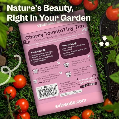 SVI 35 Cherry Tiny Tim Tomato Seeds (Solanum Lycoperscium) - Dwarf Cherry Tomato Seed Packets, Sweet Mini Tomatoes - Heirloom Vegetable Seeds for Containers, Patio, Indoor & Outdoor Garden - Image 2
