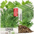 Seed Needs Lovage Seeds to Plant an Herb Garden - 10 Packs by SeedNeeds