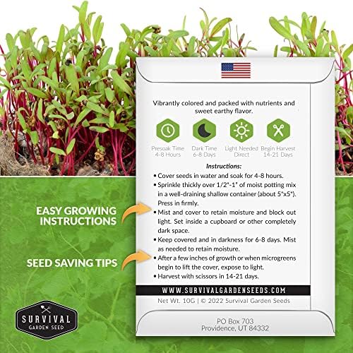 Beet Microgreen Seeds for Sprouting - Survival Garden Seeds (1 Pack) - Image 2