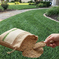 12000 Zoysia Emerald Grass Seeds, Zoysia Grass Seeds by Unknown
