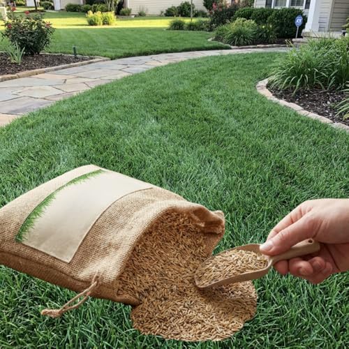 12000 Zoysia Emerald Grass Seeds, Zoysia Grass Seeds by Unknown