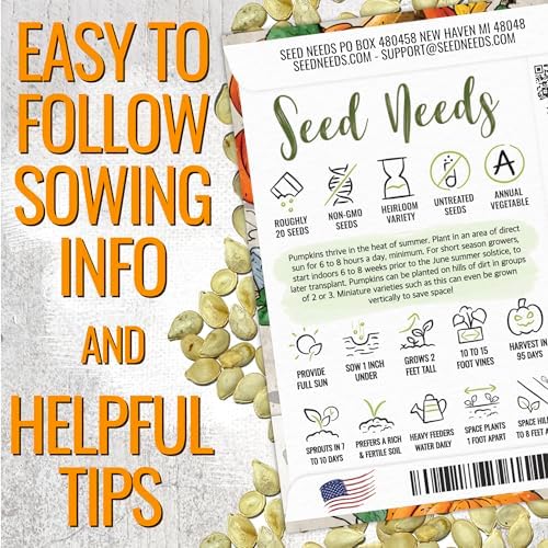 Seed Needs Pumpkin Seeds Variety Pack of 2 Non-GMO & Heirloom Mini Fruits - Image 4