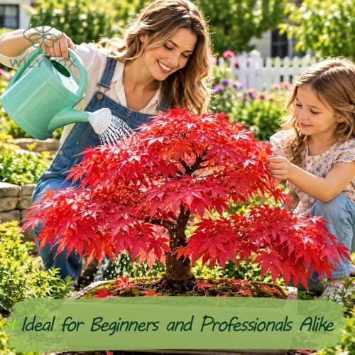 Maple Tree Seeds for Planting, Acer Species, Heirloom Non-GMO Ornamental Shade Tree Seeds, High Germination Deciduous Landscape Tree for Outdoor Gardens and Bonsai Projects, 50 Count - Image 2