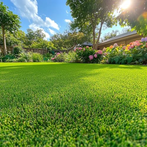 Zoysia Emerald Grass Seeds, Dense, Low-Maintenance, Drought-Tolerant Warm Season Lawn Grass, Soft Texture, Slow Growth, Full Sun Ground Cover for Home Yard or Garden Turf – 1/8 lb Pack - Image 3