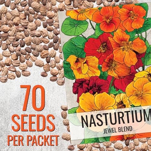 Seed Needs Nasturtium Seeds to Plant Double Flower Jewel Mixture 1 Pack - Image 3