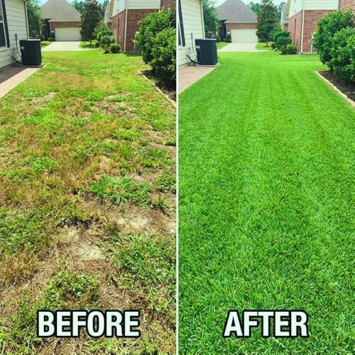 80000 Zoysia Grass Seeds for Lawn, Emerald Zoysia Grass Seed - Image 5