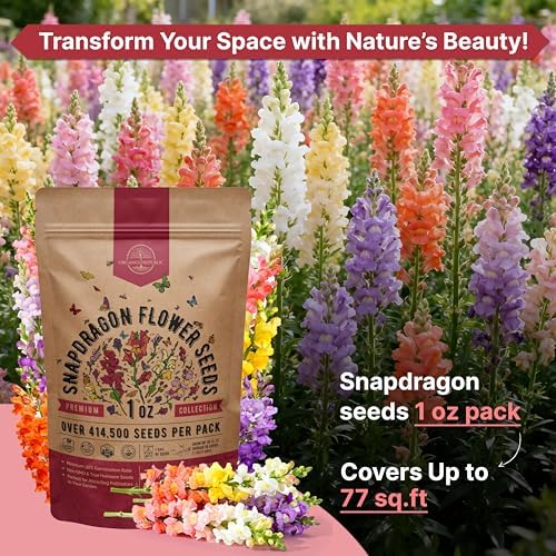 Snapdragon Flower Seeds Pack 1 oz - Over 414,500 Non-GMO Heirloom Snapdragon Seeds for Planting Indoor & Outdoor Gardening, Flower Seed for Home and Garden in Individual Packet, Floral Perennial Mix - Image 4