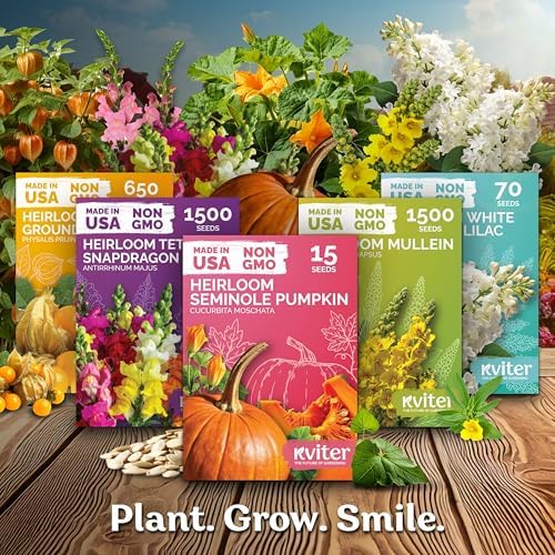 100 Toma Verde Tomatillo Heirloom Vegetable Seeds, Physalis Ixocarpa - Image 7